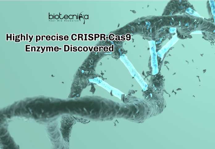 Highly precise CRISPR-Cas9 Enzyme