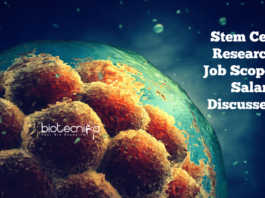 Stem Cell Research Job Scope, Salary