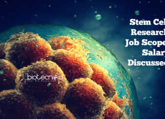 How To Make a Successful Career In Stem Cell Research? Stem Cell Research Job Scope, Salary
