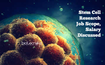 How To Make a Successful Career In Stem Cell Research? Stem Cell Research Job Scope, Salary