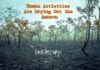 Human Activities Drying Out Amazon For Past 20 Years: NASA Study Human Activities Are Drying Out The Amazon (