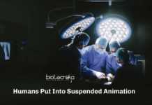 For First Time Ever – Humans Put Into Suspended Animation