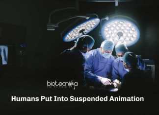 For First Time Ever – Humans Put Into Suspended Animation