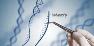 ICMR Gene Therapy Research