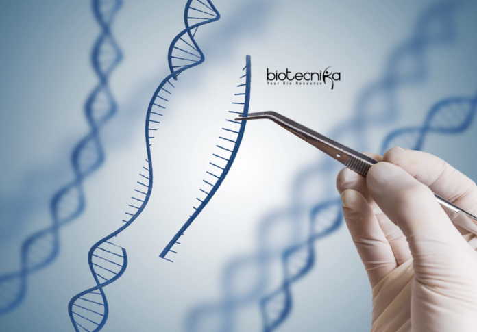 ICMR Gene Therapy Research