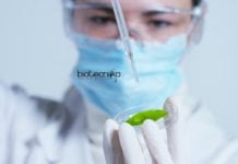 ICRISAT Scientific Officer Vacancy Available – MSc Apply Online ICRISAT Scientific Officer Vacancy