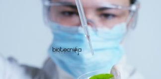 ICRISAT Scientific Officer Vacancy