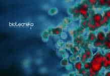 Immunity Body Shield Discovered By University of Bristol Scientists Immunity Body Shield Discovered By University of Bristol Scientists