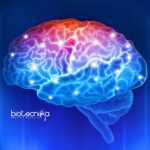 JNCASR Neuroscience Unit Faculty