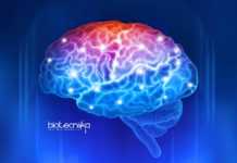 JNCASR Neuroscience Unit Faculty Fellow / Assistant Professor Recruitment JNCASR Neuroscience Unit Faculty