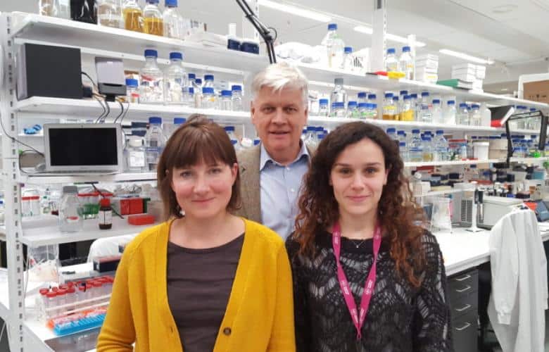 New Tool To Study Ageing