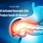 Light activated pancreatic cells