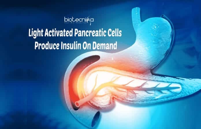 Light activated pancreatic cells