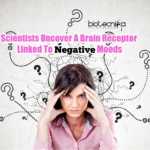 Mood Altering Brain Receptor
