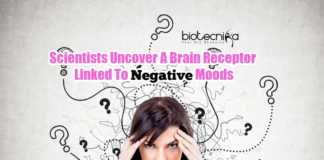 Mood Altering Brain Receptor
