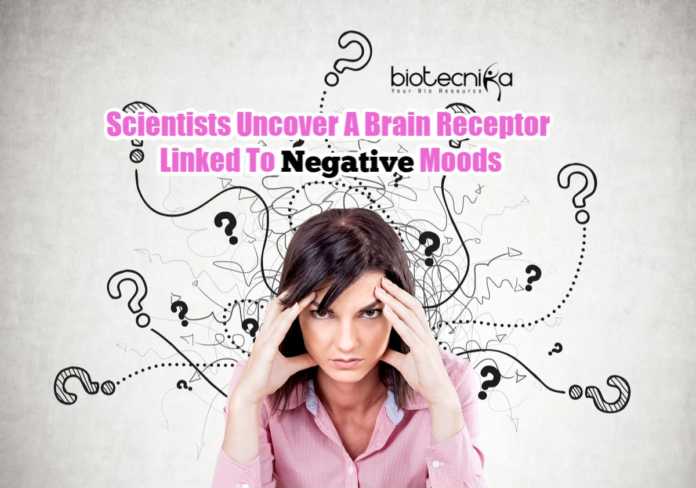 Mood Altering Brain Receptor
