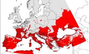 transmission-risk maps for Zika virus