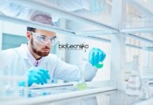 NIBMG Job Opportunities 2019