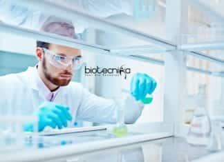 NIBMG Job Opportunities 2019 – MSc/MTech/BTech Apply NIBMG Job Opportunities 2019