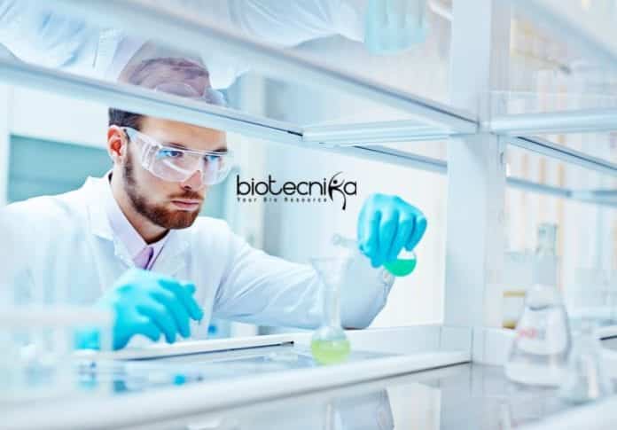 NIBMG Job Opportunities 2019