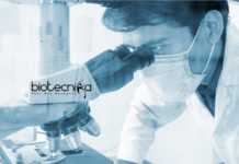 ICMR-NIRRH Project Job Opening – Biological Sciences Apply NIRRH Biological Science Job