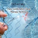 New Combination Gene Therapy Technique