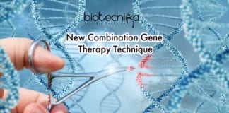 New Combination Gene Therapy Technique