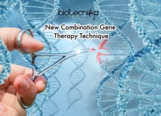 New Combination Gene Therapy Technique – Treats Multiple Age Related Diseases New Combination Gene Therapy Technique