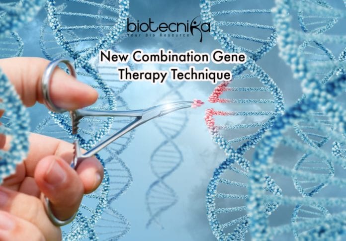 New Combination Gene Therapy Technique