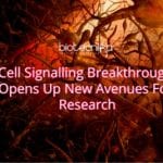 New Research on Cell signalling