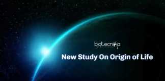 New Study On Origin of Life