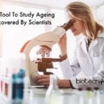 New Tool To Study Ageing