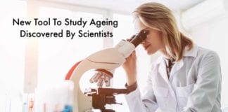 New Tool To Study Ageing