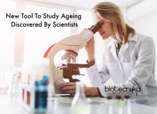New Research Tool For Studying Mitochondrial Disorders & Ageing New Tool To Study Ageing