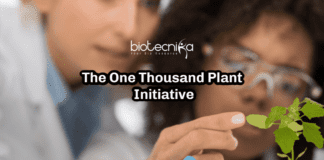 One Thousand Plant Initiative