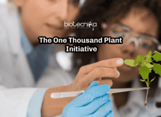 One Thousand Plant Initiative – The 9 Years Genomic Diversity Study One Thousand Plant Initiative