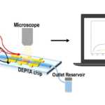 Lab-on-a-chip Drug Monitoring Technology Developed By Scientists Lab-on-a-chip Drug Monitoring
