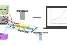 Lab-on-a-chip Drug Monitoring Technology Developed By Scientists Lab-on-a-chip Drug Monitoring