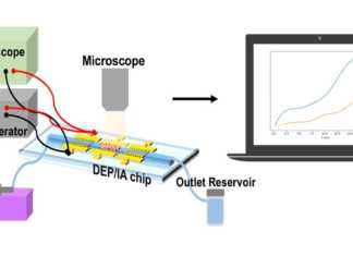 Lab-on-a-chip Drug Monitoring Technology Developed By Scientists Lab-on-a-chip Drug Monitoring