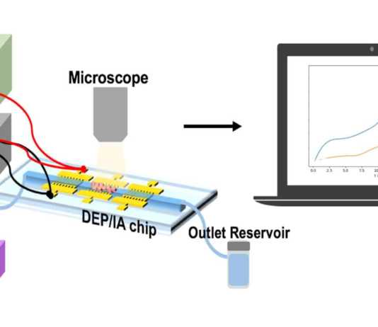 Lab-on-a-chip Drug Monitoring