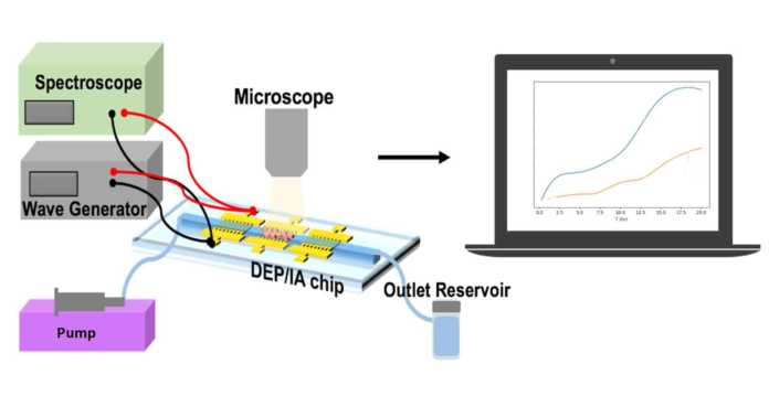 Lab-on-a-chip Drug Monitoring
