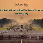 Pollution Nano-particles linked to Cancer