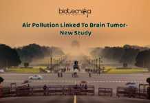 Air Pollution Nano-Particles Linked To Cancer – Reveals New Study Pollution Nano-particles linked to Cancer