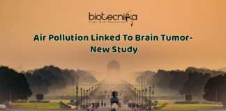 Pollution Nano-particles linked to Cancer