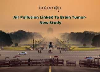 Air Pollution Nano-Particles Linked To Cancer – Reveals New Study Pollution Nano-particles linked to Cancer