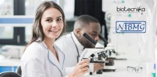 Pursue Doctoral Research