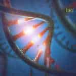 Real-Time Ribosome Assembly