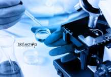 Sikkim University Plant Sciences Jobs – Junior Research Fellow Post Sikkim University Plant Sciences