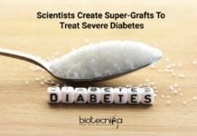 Super-Grafts To Treat Diabetes