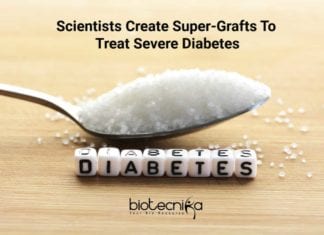 Scientists Create “Super-Grafts” To Treat Severe Diabetes Super-Grafts To Treat Diabetes